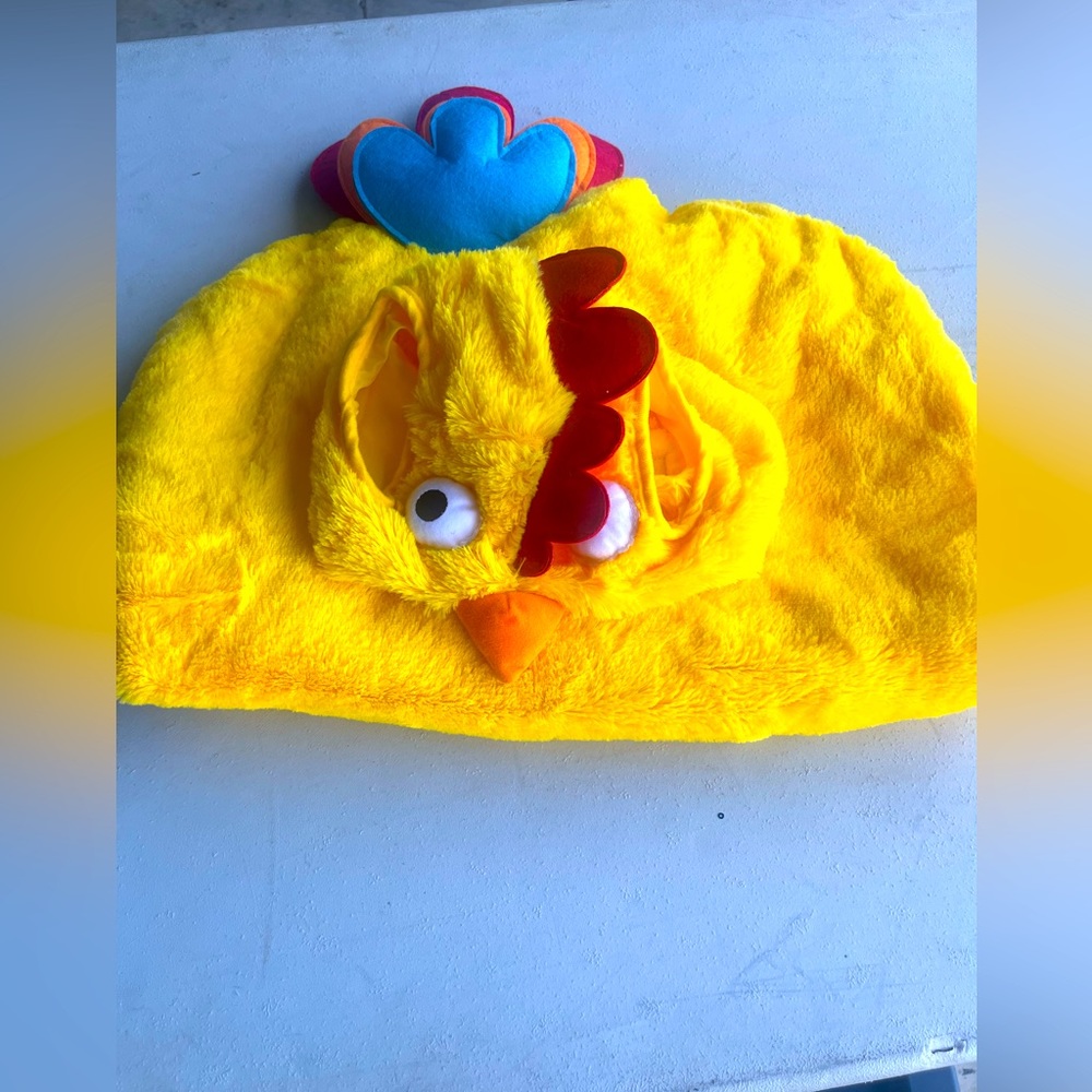 Dog costume
